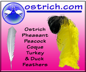 ostrich.com: Feathers - ostrich, peacock, pheasant, turkey